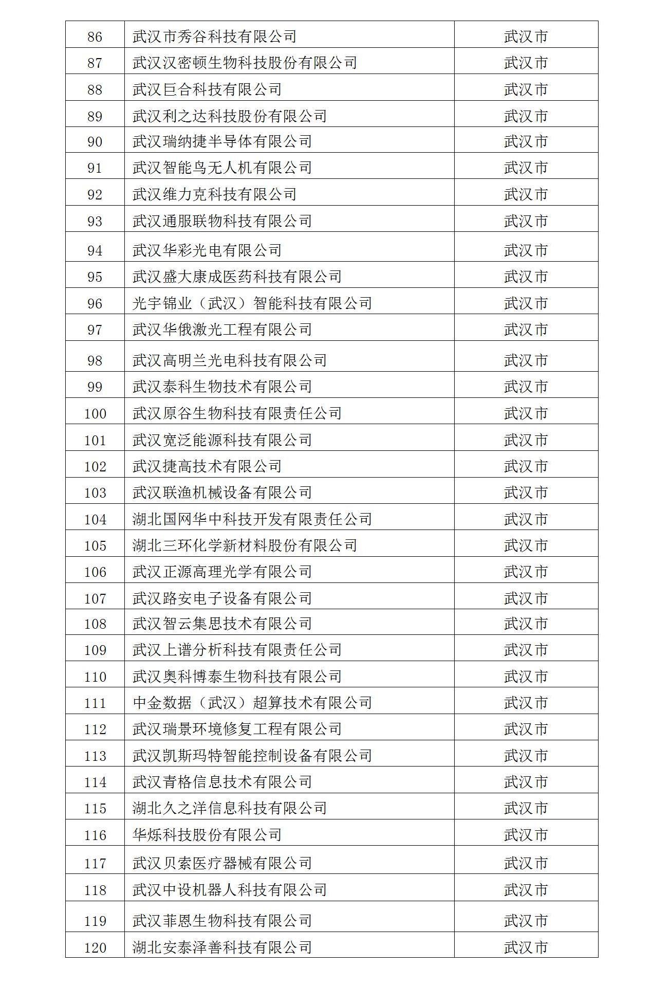 2022年入庫湖北省科創(chuàng)“新物種”企業(yè)名單_04